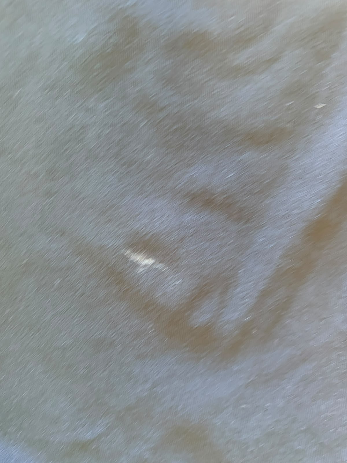 Nike Μαύρο 3/4 Κολάν Προπόνησης (S)
