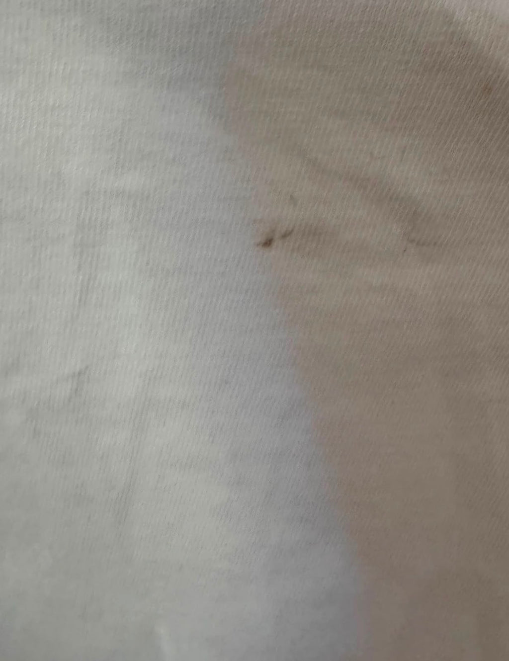 Diesel “NO ONE ELSE” Ανδρικό T-Shirt Λευκό-M