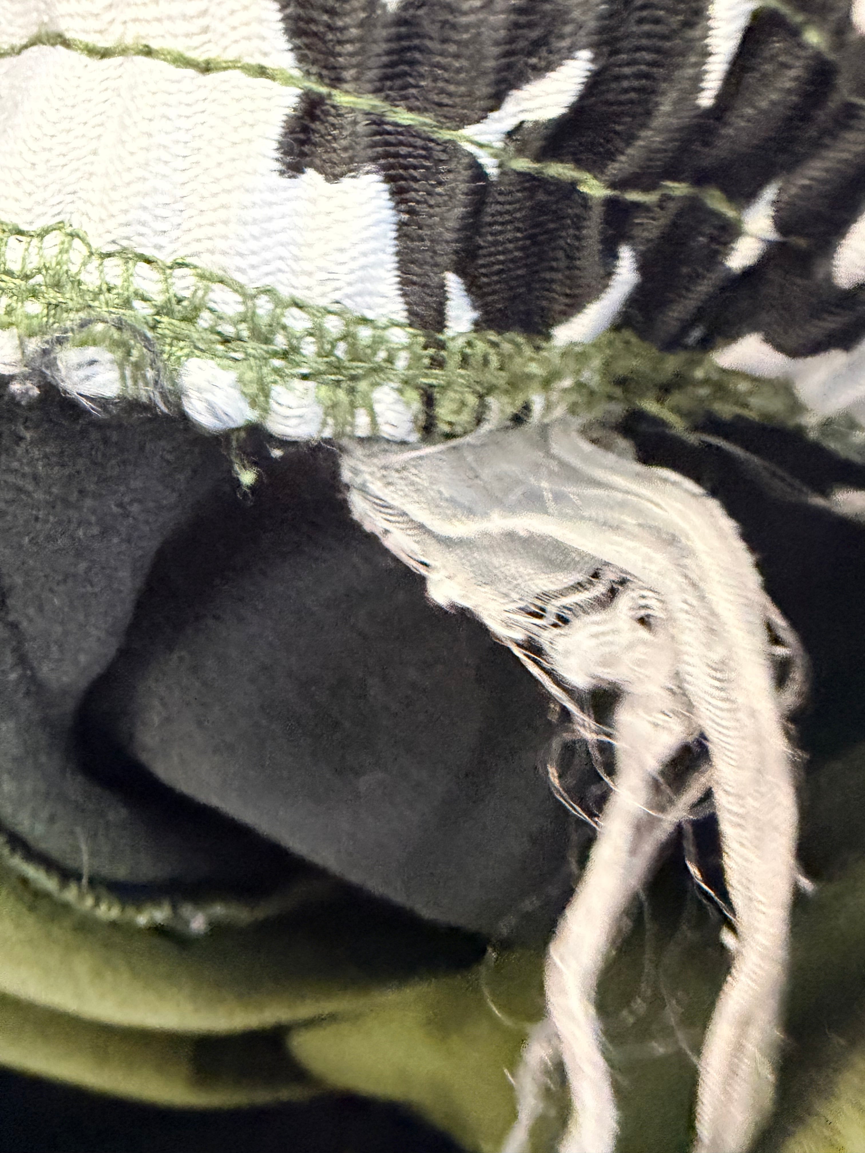 Kappa Olive olive green Track Pants-L