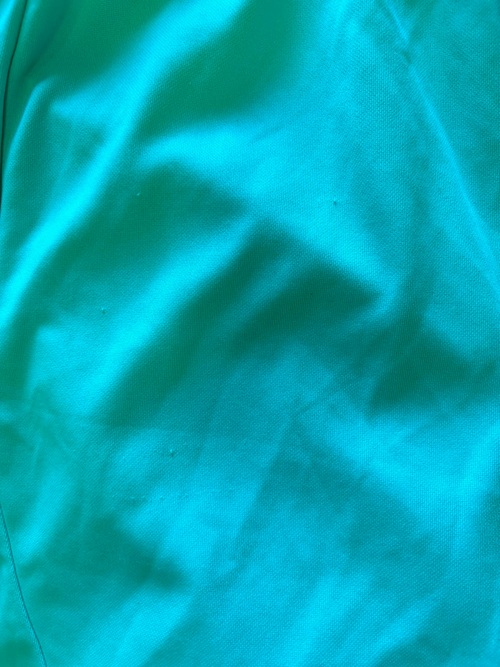Nike Turquoise Athletic Shorts