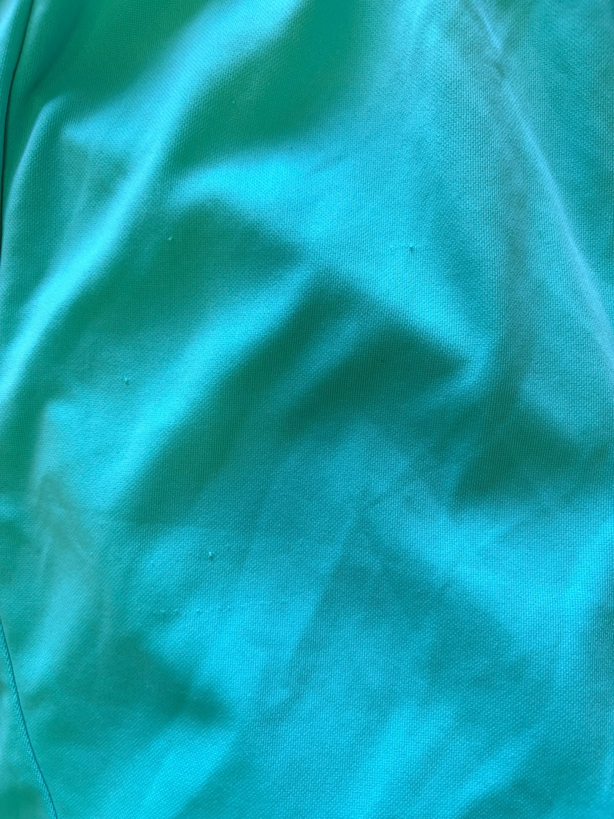 Nike Turquoise Athletic Shorts