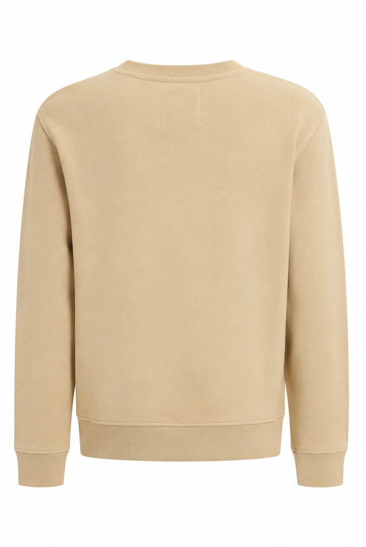 Guess Colorblock Sweatshirt – Beige-XS