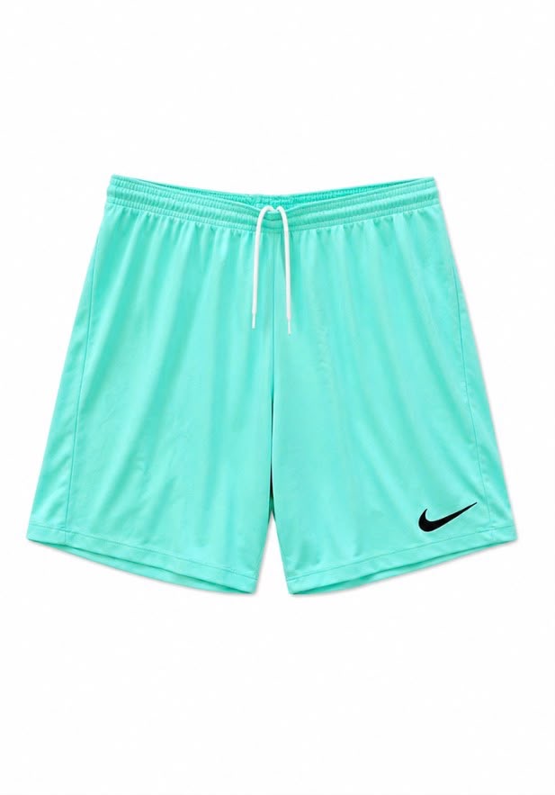 Nike Turquoise Athletic Shorts
