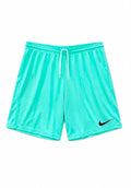 Nike Turquoise Athletic Shorts