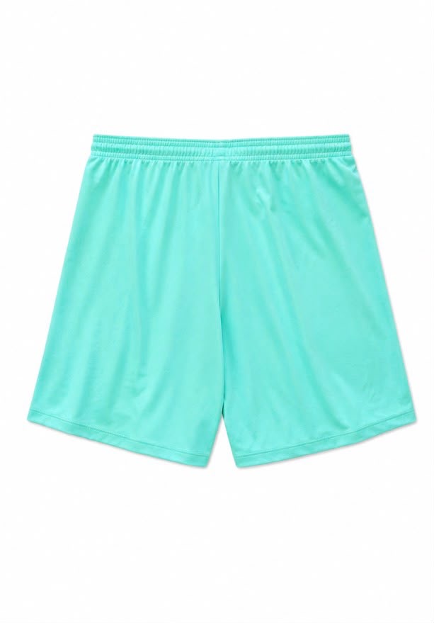 Nike Turquoise Athletic Shorts