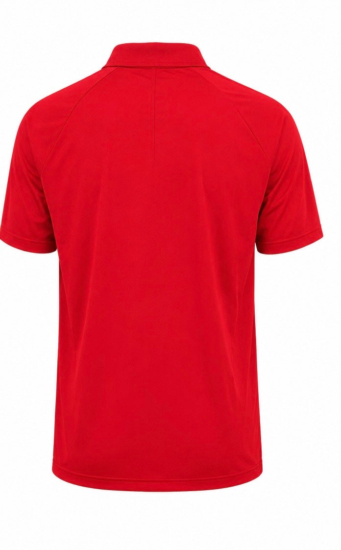 Nike Dri-FIT Ανδρικό Polo Κόκκινο / Standard Fit-M
