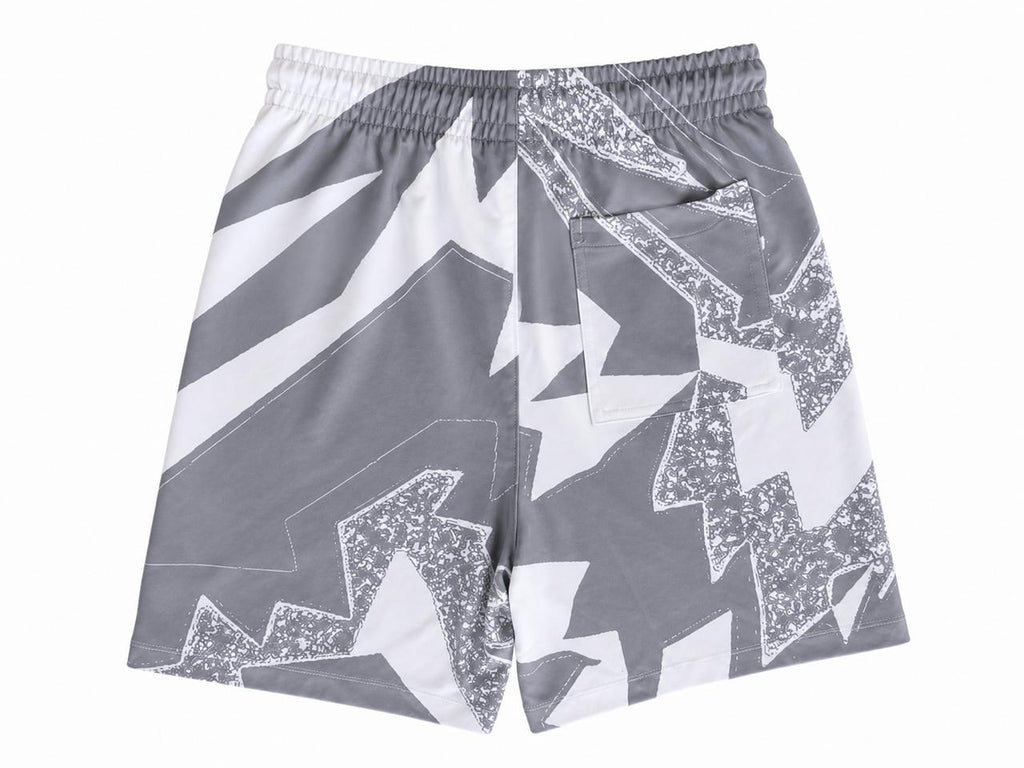 Jordan Graphic Print Shorts Γκρι / Λευκό-S