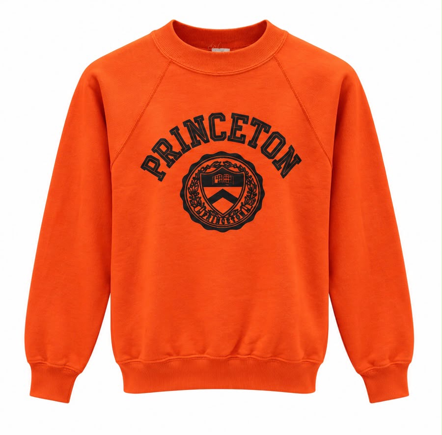 Princeton Ανδρικό Φούτερ Πορτοκαλί- S