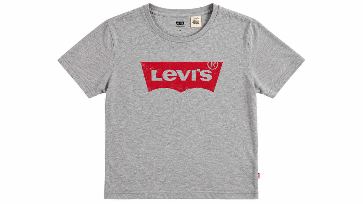 Levi’s Ανδρικό Μπλουζάκι – Γκρι – M