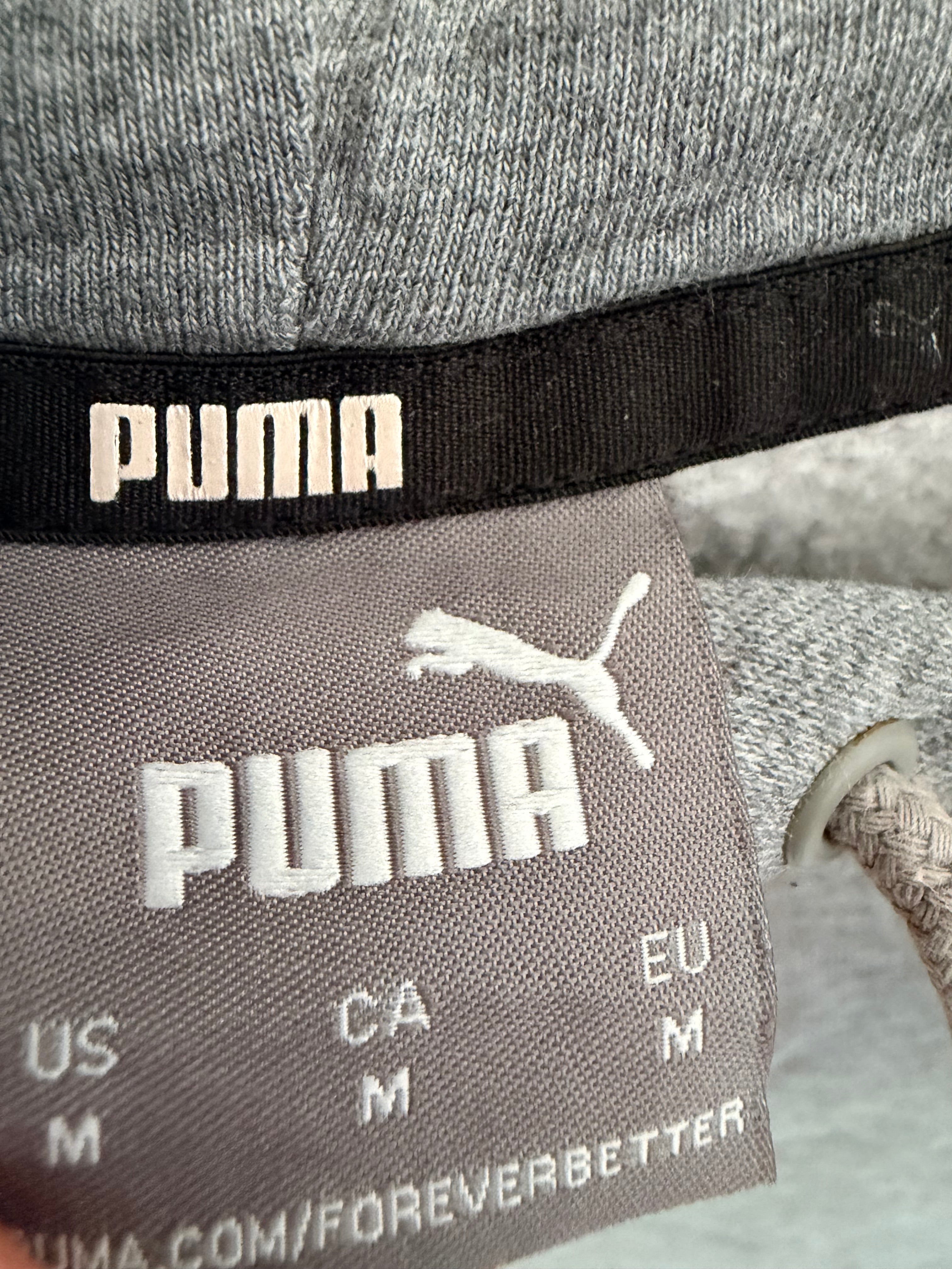 Puma Ανδρικό Essentials Hoodie – Γκρι-M