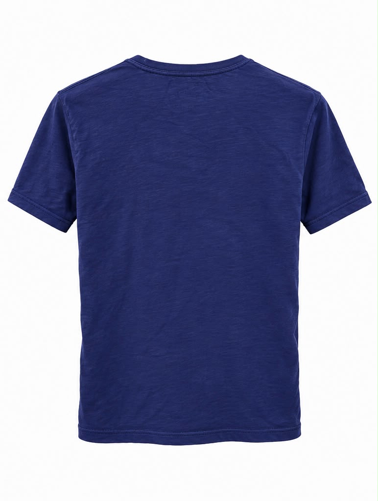 Napapijri Ανδρικό T-Shirt Μπλε με Graphic Logo – M