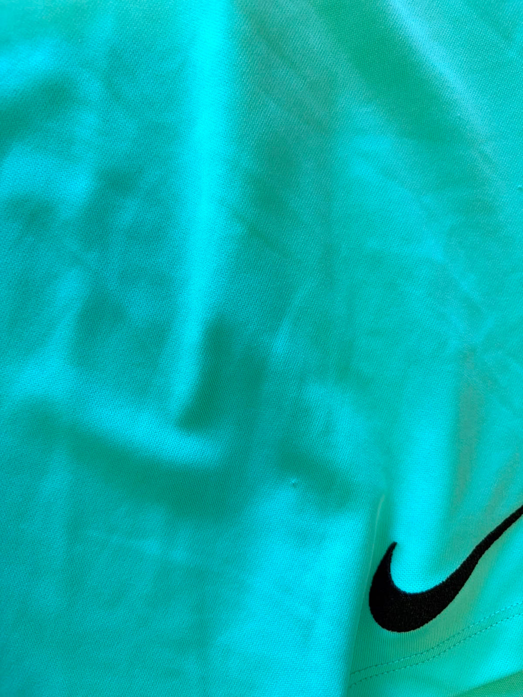 Nike Turquoise Athletic Shorts