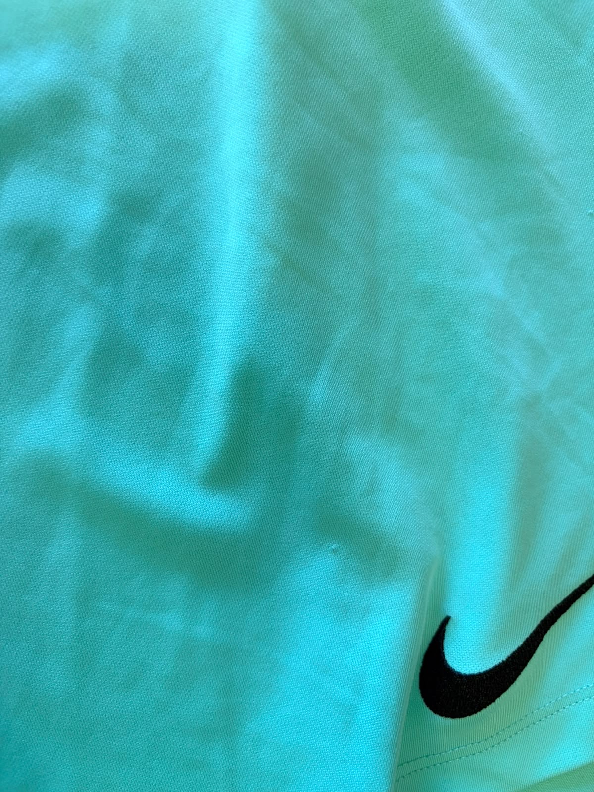 Nike Turquoise Athletic Shorts